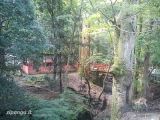 Nara Cosa vedere a Nara in 1 giorno: i dintorni del tempio Todai-Ji