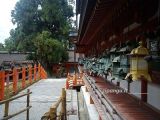 Nara Nara: il santuario Kasuga Taisha