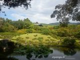 Viaggio in Giappone di tre settimane: 12° giorno - visita a Nara, antica capitale del Giappone