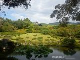 Nara Nara in 1 giorno: il giardino Isui-En