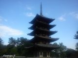 Nara, Giappone Nara in 1 giorno: il tempio Kofuku-Ji