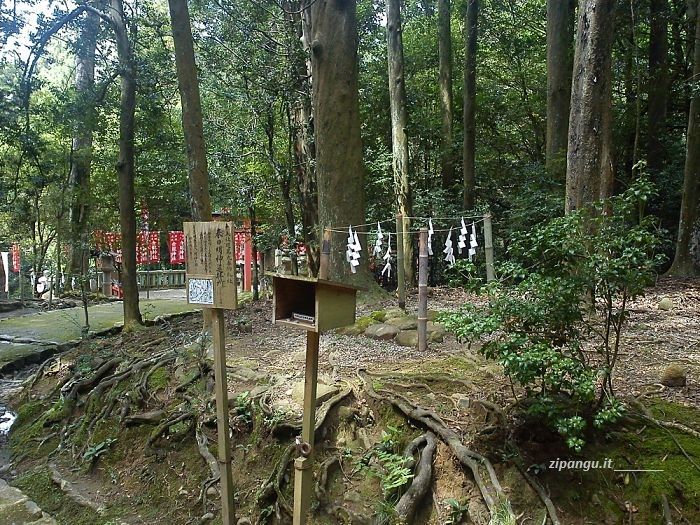 Da visitare a Nara: la Foresta Sacra del Kasugayama