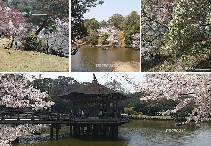 Itinerari in Giappone: visita a Nara