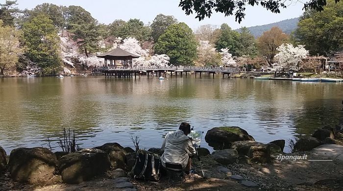 Cose da vedere a Nara: lo stagno Sagi-Ike