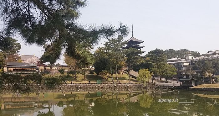 Cosa vedere a Nara: lo stagno Sarusawa-Ike