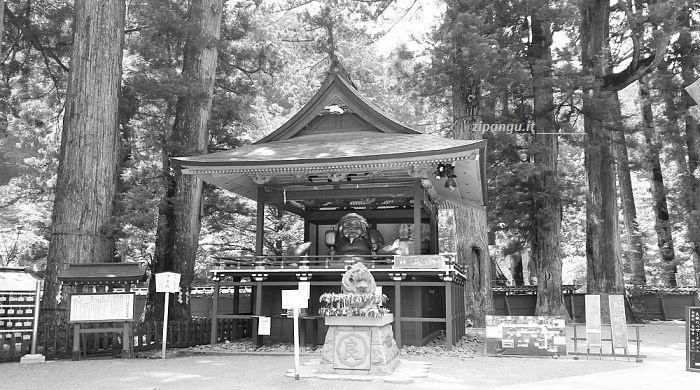 Escursione a Nikko da Tokyo: visita al Futarasan-Jinja