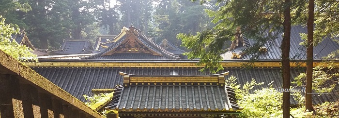 Un giorno a Nikko: visita al Toshogu; coperture dei templi