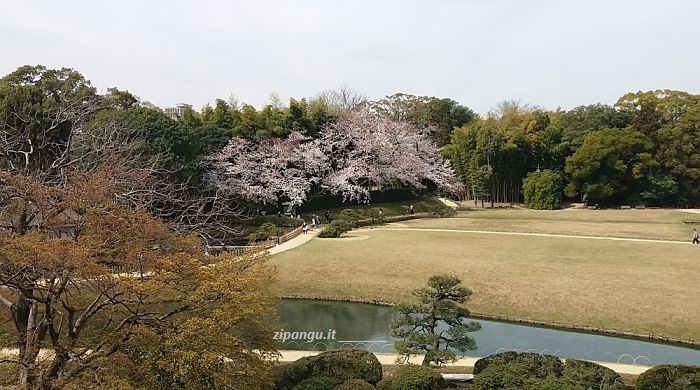 Giappone; cosa vedere: il Koraku-En a Okayama