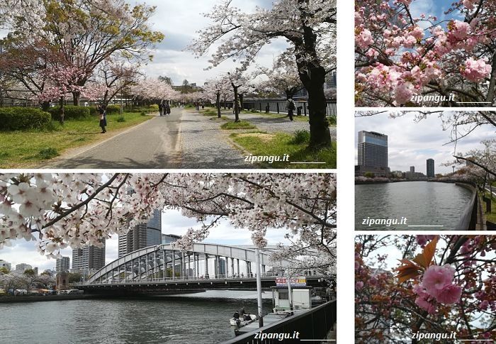 Ciliegi a Osaka: il parco Kema Sakuranomiya