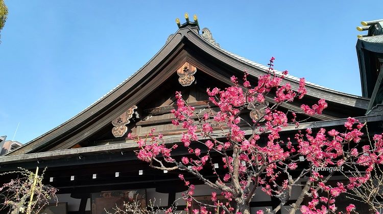 Cosa vedere a Osaka: Osaka-Tenmangu, storico santuario scintoista