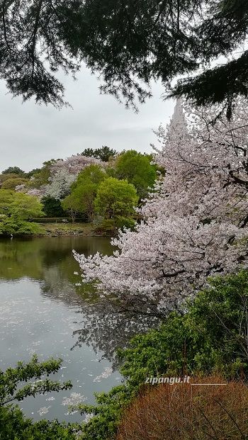 Cosa fare a Shinjuku: visita allo Shinjuku-Gyoen