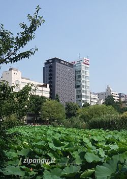 Alberghi consigliati a Tokyo: APA Keisei Ueno Ekimae