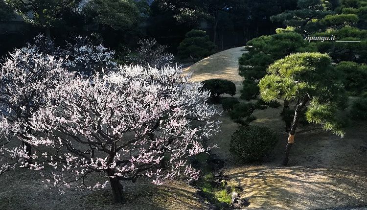 Cinque giorni a Tokyo: visita ai Giardini Kyu-Shiba-Rikyu (旧芝離宮恩賜庭園)
