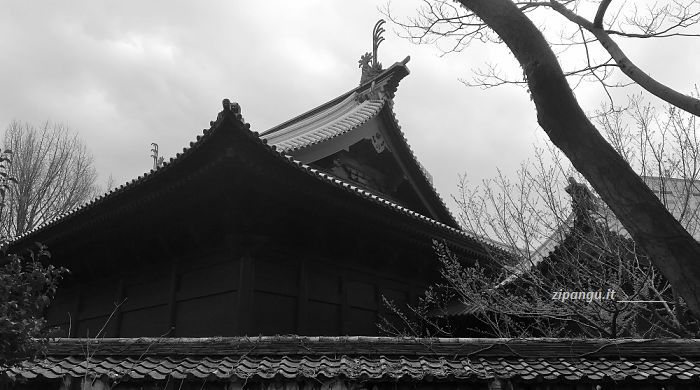 Quattro giorni a Tokyo: visita a Bunkyo, Yushima Seido