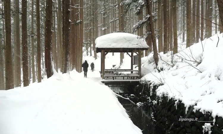 Tre settimane in Giappone: itinerario via Nagano; Yamanouchi