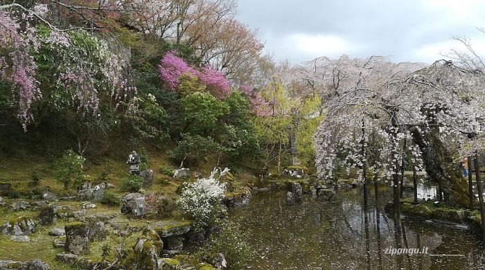 Vicino a Nara; luoghi da visitare: Yoshinoyama