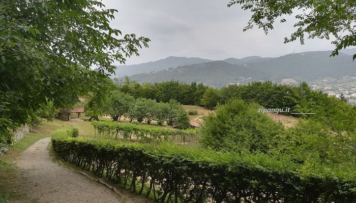 Itinerario di due giorni a Bergamo: visita a Palazzo Moroni