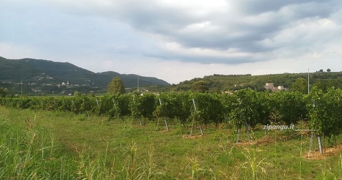 Come raggiungere Vicenza: itinerario attraverso i Colli Berici