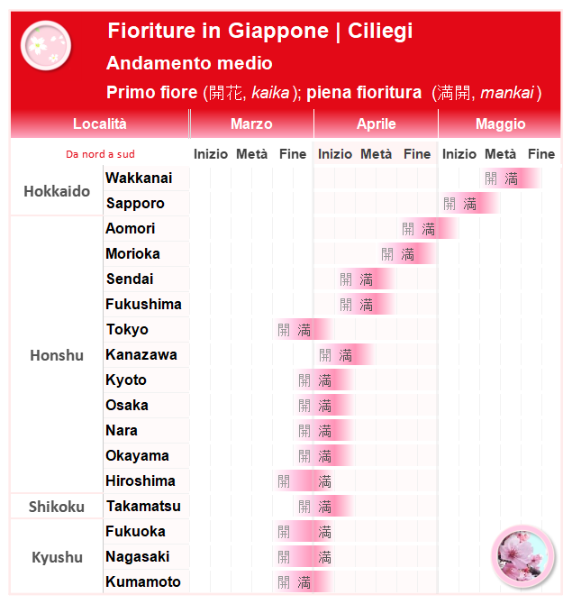 Quando avviene la fioritura dei ciliegi in Giappone: kaika e mankai tra Sapporo e Kumamoto; dati medi