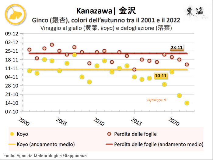 Foglie gialle dei ginco (icho) a Kanazawa: andamento del koyo negli ultimi 20 anni