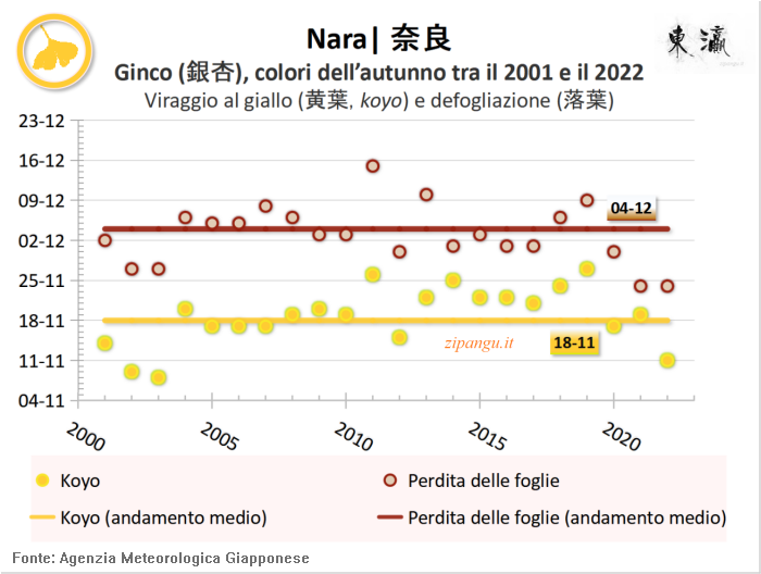 Foglie gialle dei ginco (icho) a Nara: andamento del koyo negli ultimi 20 anni