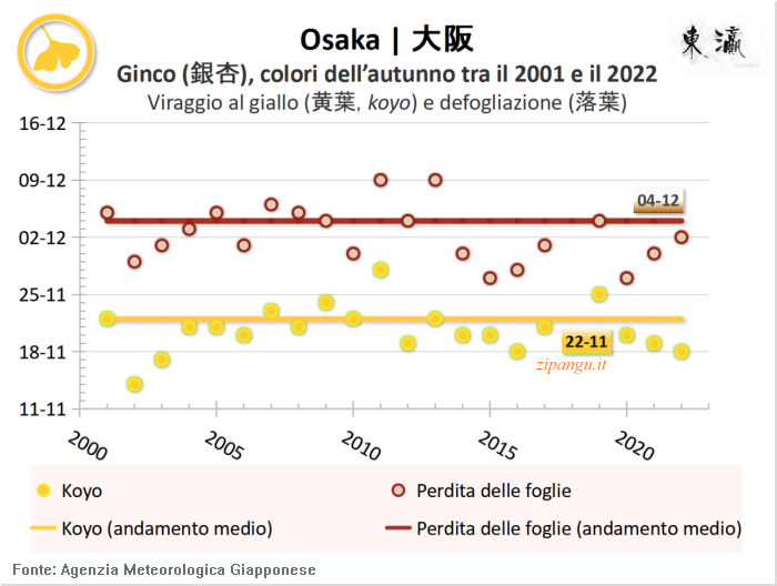 Foglie gialle dei ginco (icho) a Osaka: andamento del koyo negli ultimi 20 anni