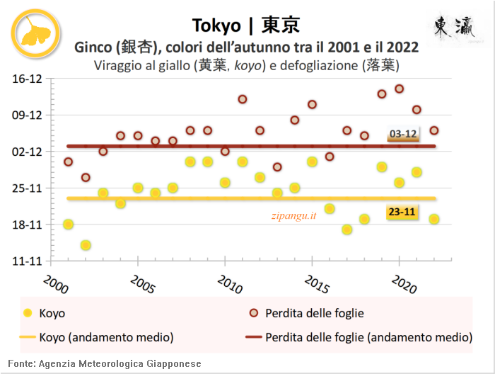Foglie gialle dei ginco (icho) a Tokyo: andamento del koyo negli ultimi 20 anni