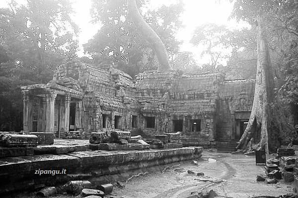 Templi da visitare ad Angkor: il Ta Prohm