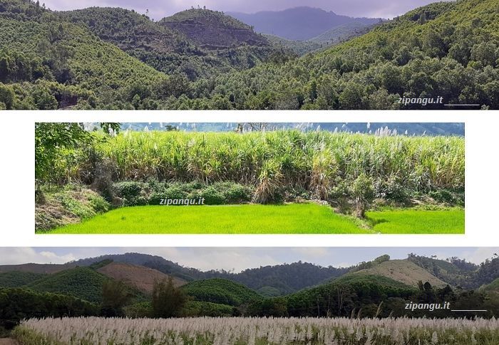 Strade in Vietnam: QL26