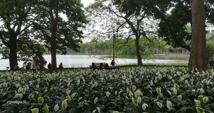 Cosa vedere ad Hanoi: i fiori e le piante attorno al Lago di Hoan Kiem