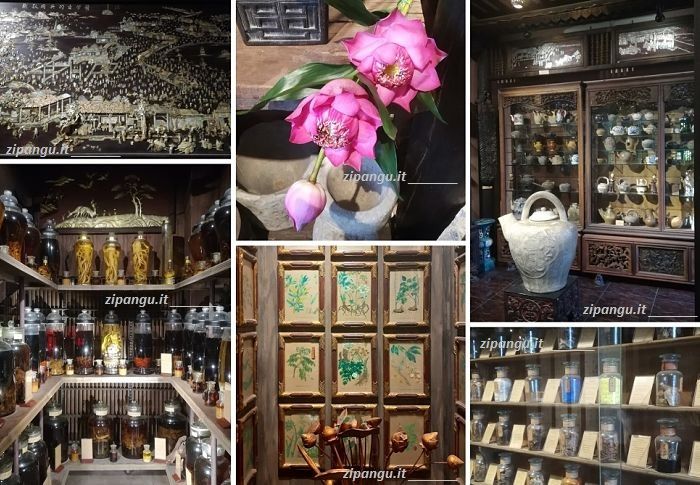 Il cibo nella medicina tradizionale del Vietnam: Museo di Medicina Tradizionale del Vietnam (Fito), Thanh Pho Ho Chi Minh