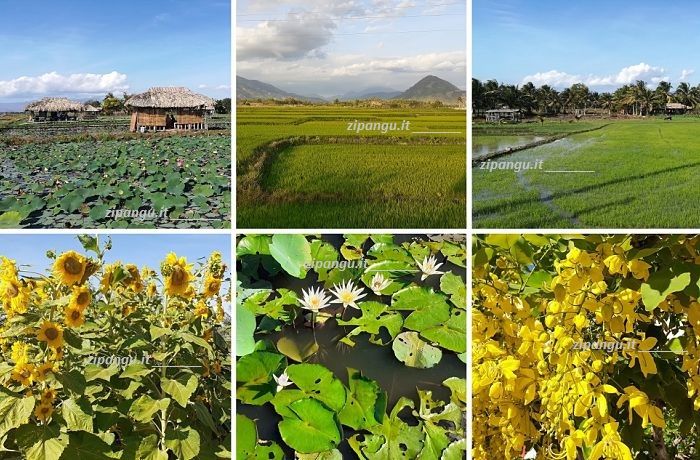 Cosa vedere nel Vietnam del sud: la Provincia del Ninh Thuan