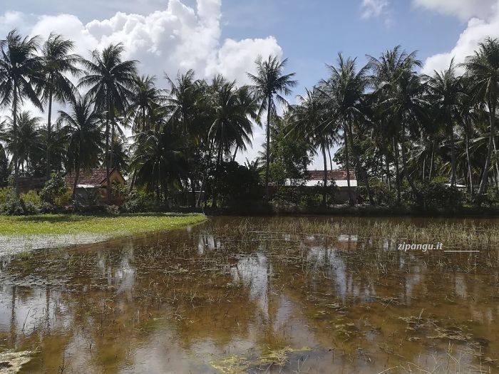Cosa vedere in Vietnam fuori dei sentieri battuti: il paesaggio rurale nella Provincia di Phu Yen