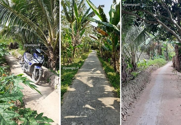 Viaggiare in moto nel Delta del Mekong: Isola di An Binh; strade
